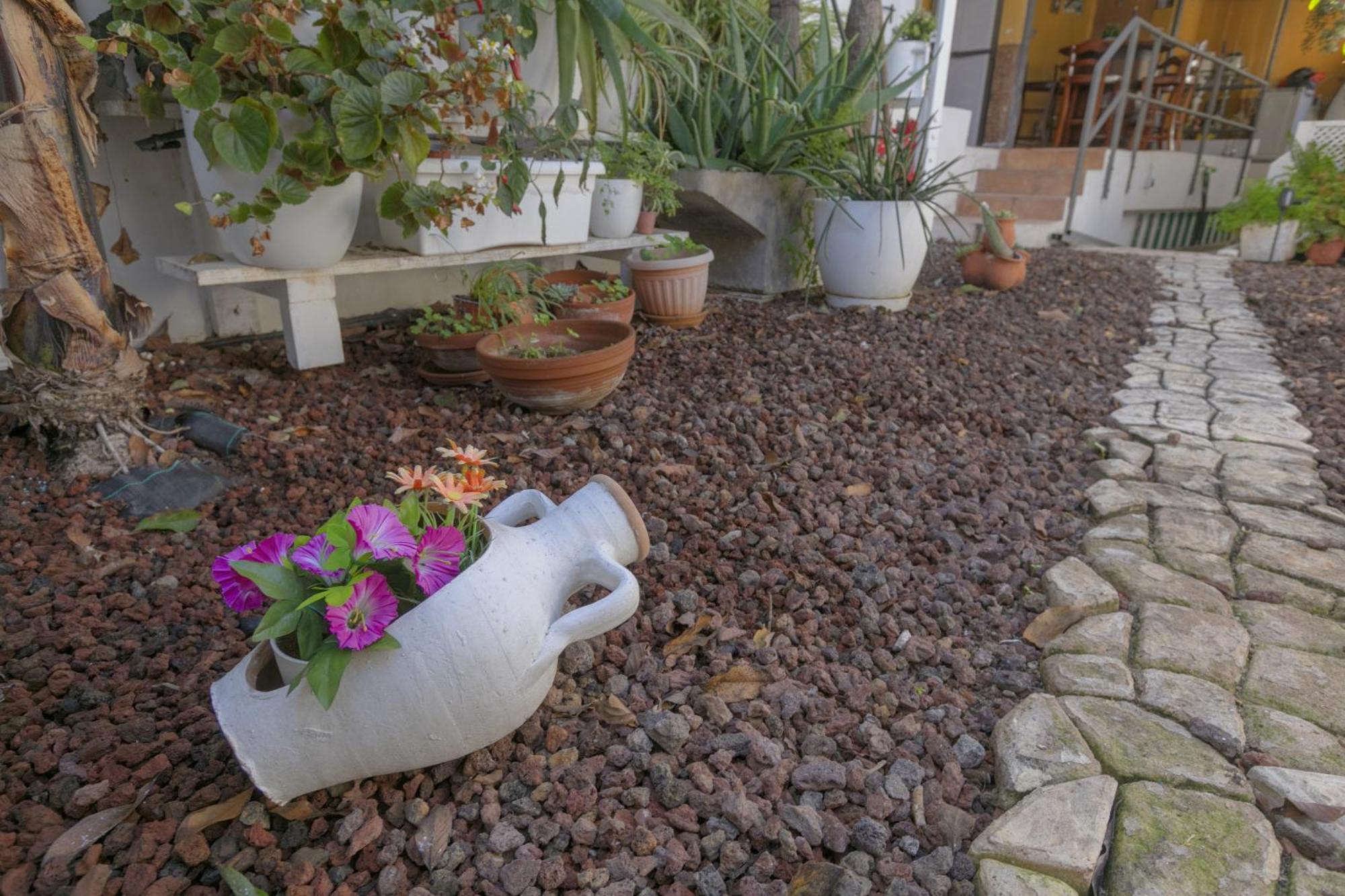 פונטה דל הידלגו Loft Cerca Del Mar Tenerife מראה חיצוני תמונה